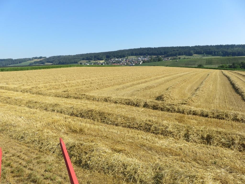 Stroh, Stroh, Stroh, Stroh …