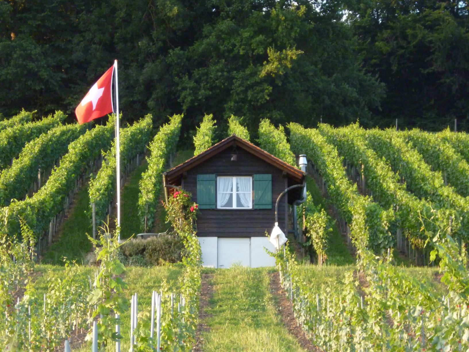 Vorbereitungen „Sunntig i dä Räbe“ auf Hochtouren